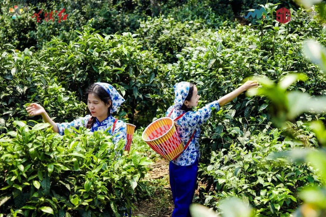 1681351566734834.jpg 640 (1).jpg