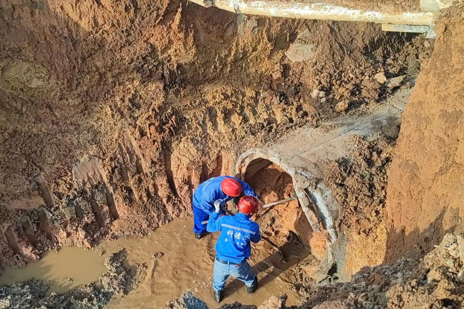 1700614411189519.jpg 8.jpg