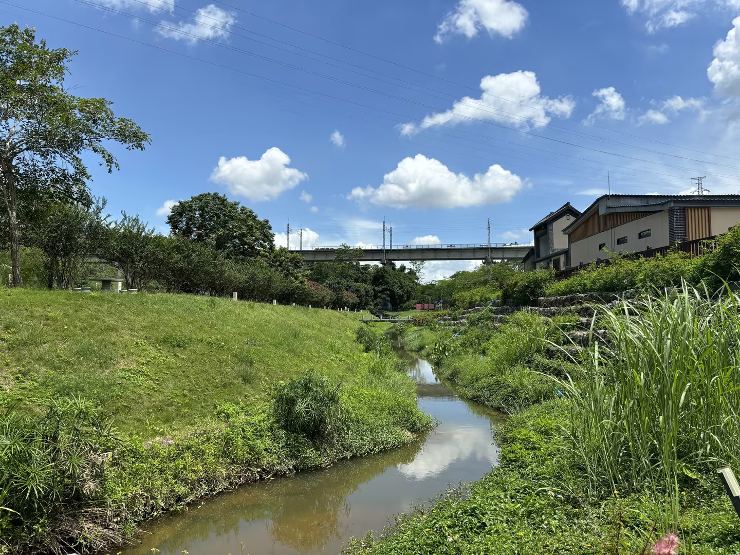 1723429030345353.jpg 1.jpg