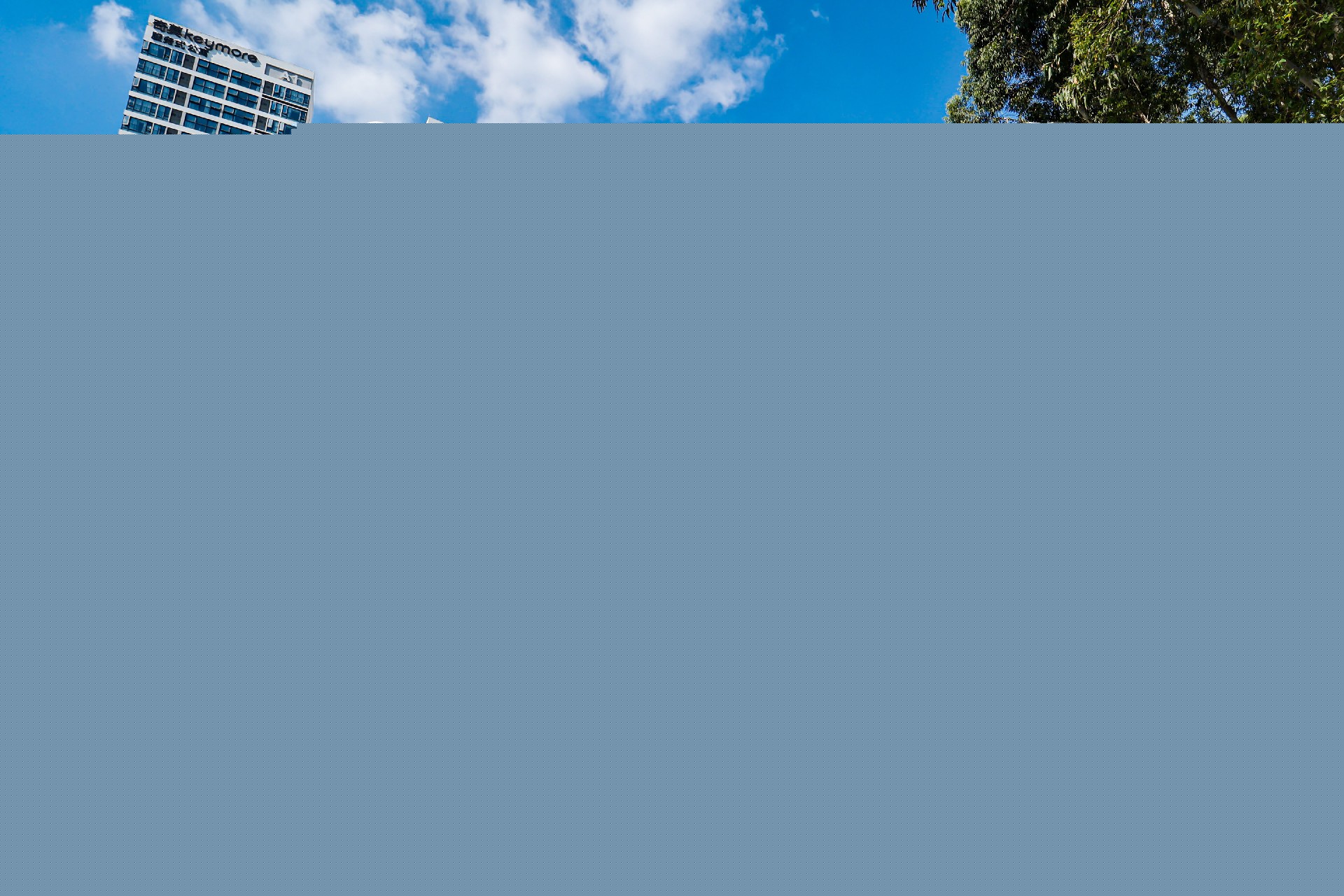 1742872213125332.jpg CHEN9532.JPG